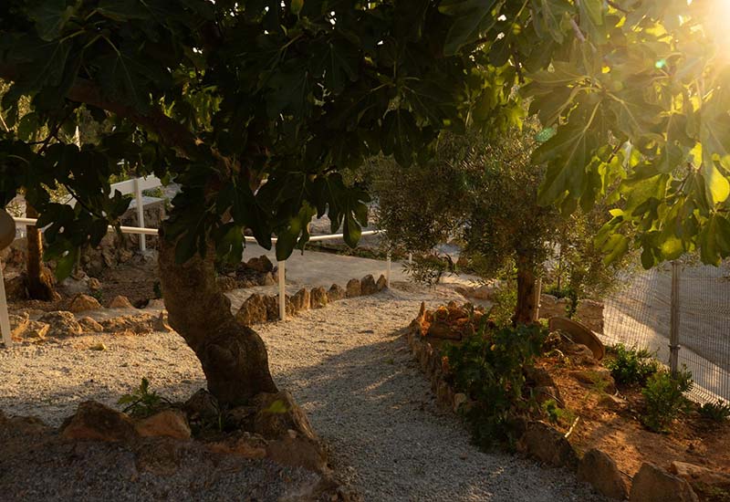 Casa Cueva Rural Hermosa Vista
