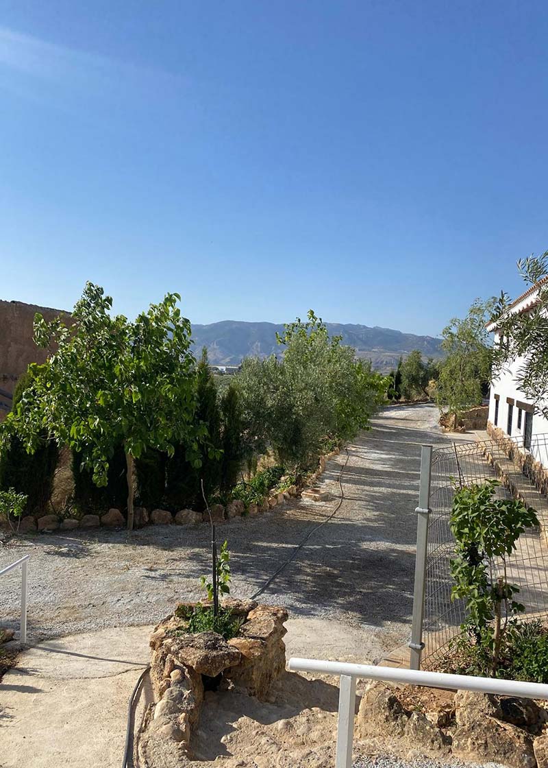 Casa Cueva Rural Hermosa Vista